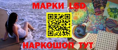 гашик Будённовск