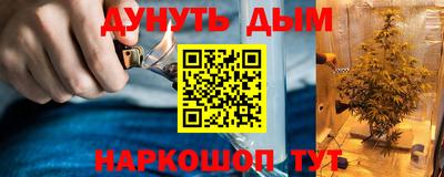 сатива Бузулук