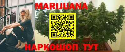 гашик Будённовск